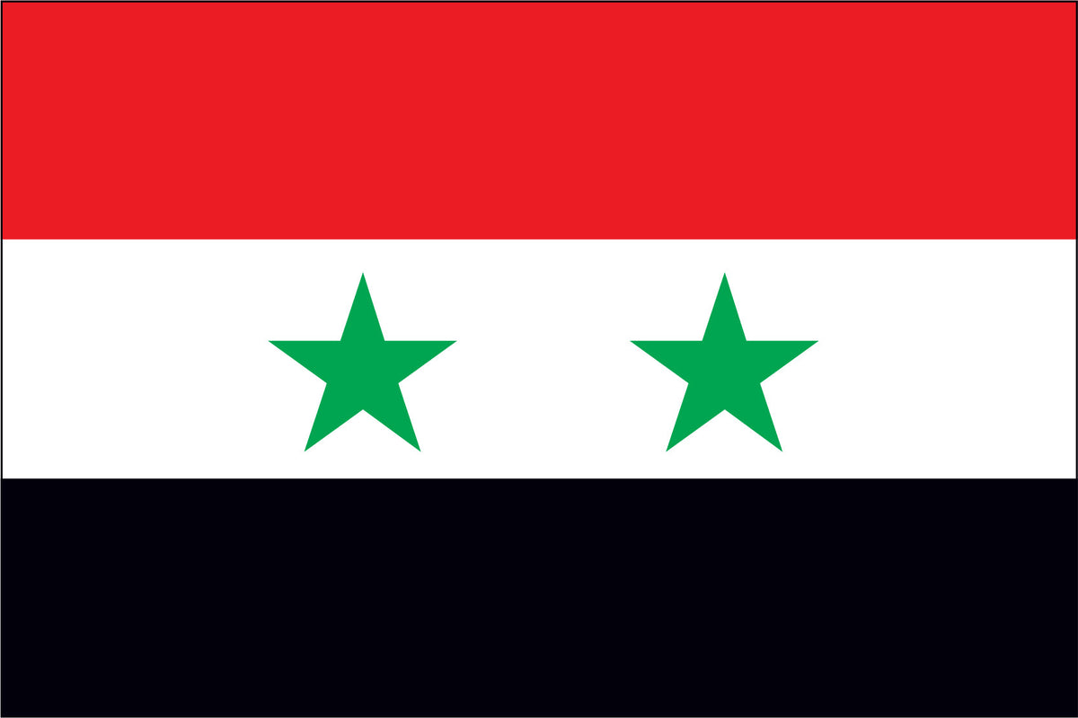 SYRIA NYLON PRINT FLAG - 3x5