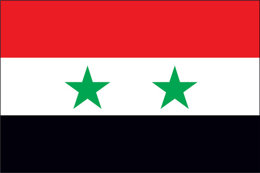 SYRIA NYLON PRINT FLAG - 3x5