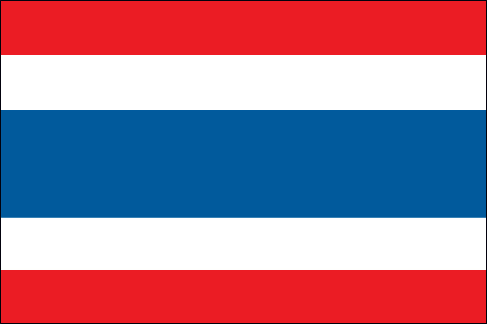 THAILAND NYLON PRINT FLAG - 3x5