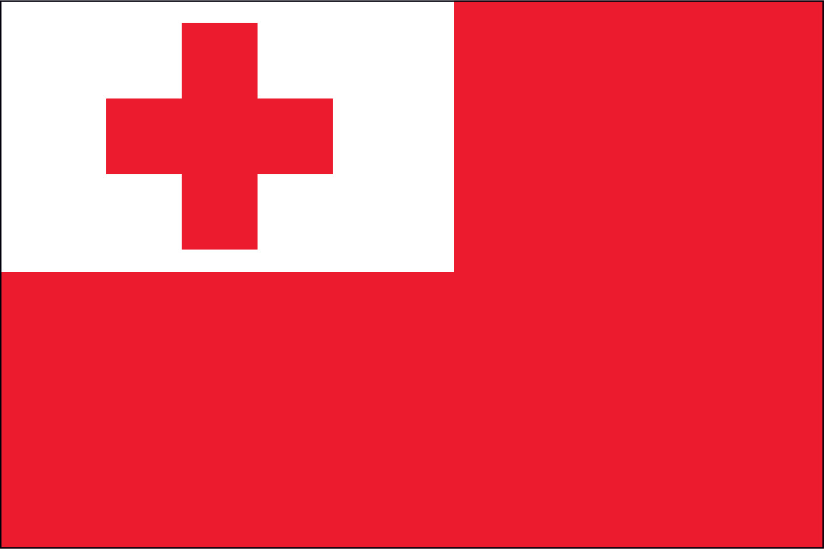 TONGA NYLON PRINT FLAG - 3x5