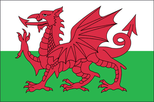 WALES NYLON PRINT FLAG - 3x5