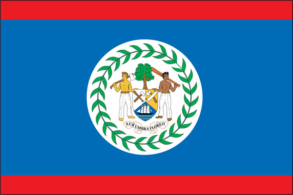 Belize Miniature Flag 4" x 6"