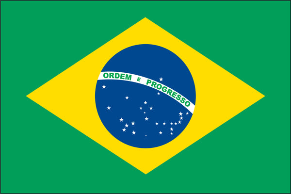Brazil Miniature Flag 4" x 6"
