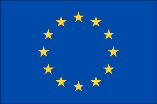 European Union (Council of Europe) Flag
