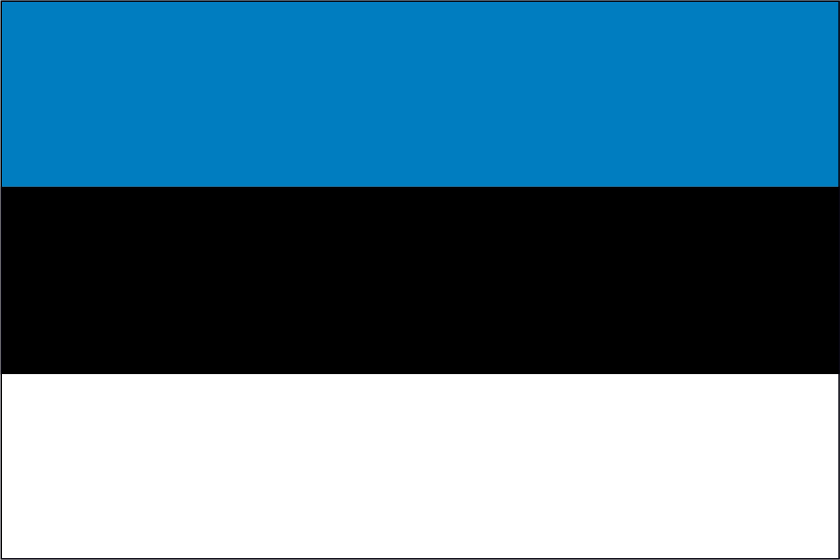 Estonia Miniature Flag 4
