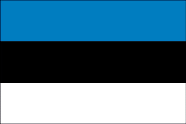 Estonia Miniature Flag 4" x 6"