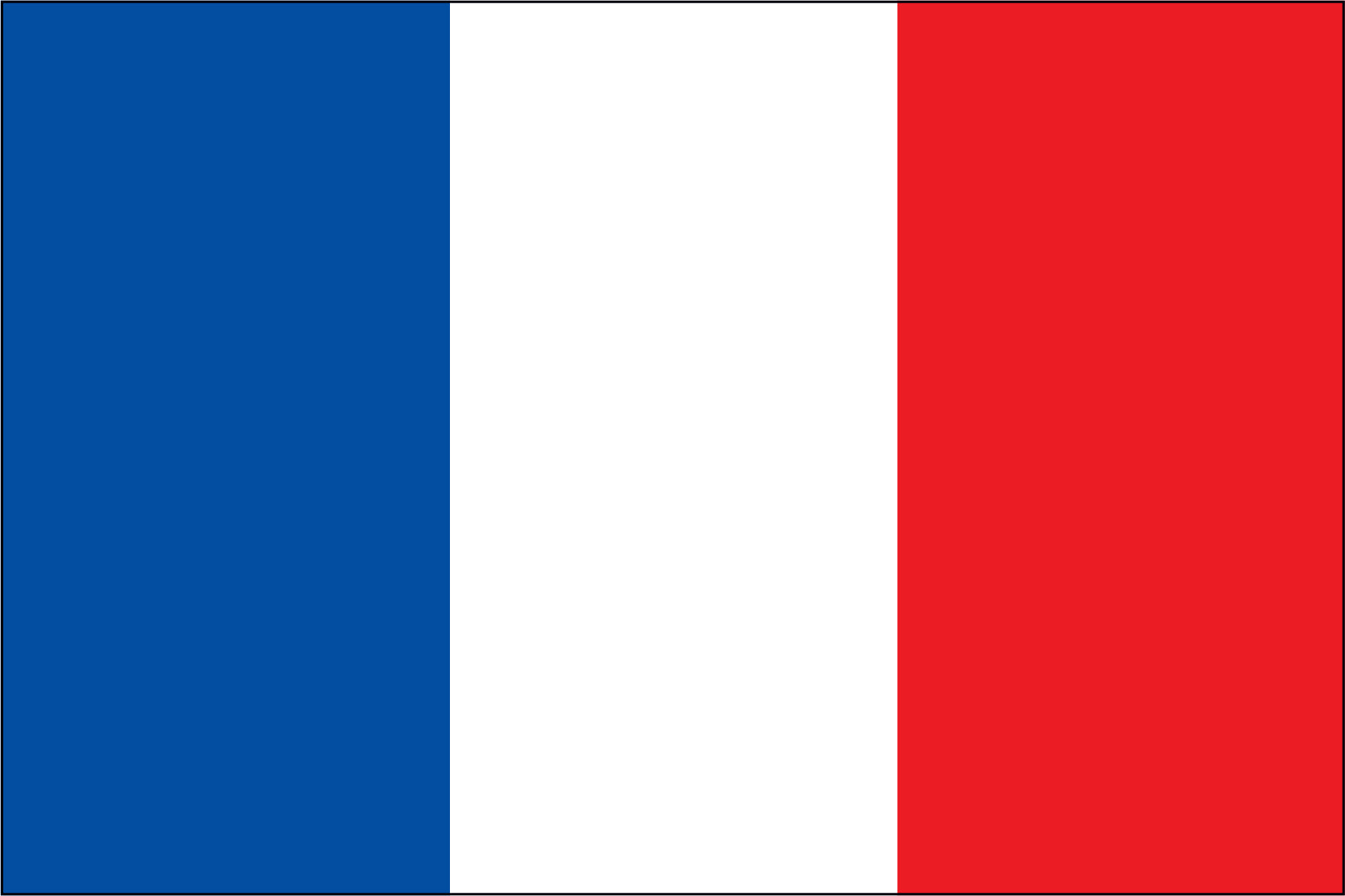 France Miniature Flag 4