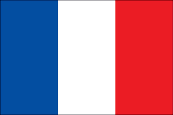 France Miniature Flag 4" x 6"