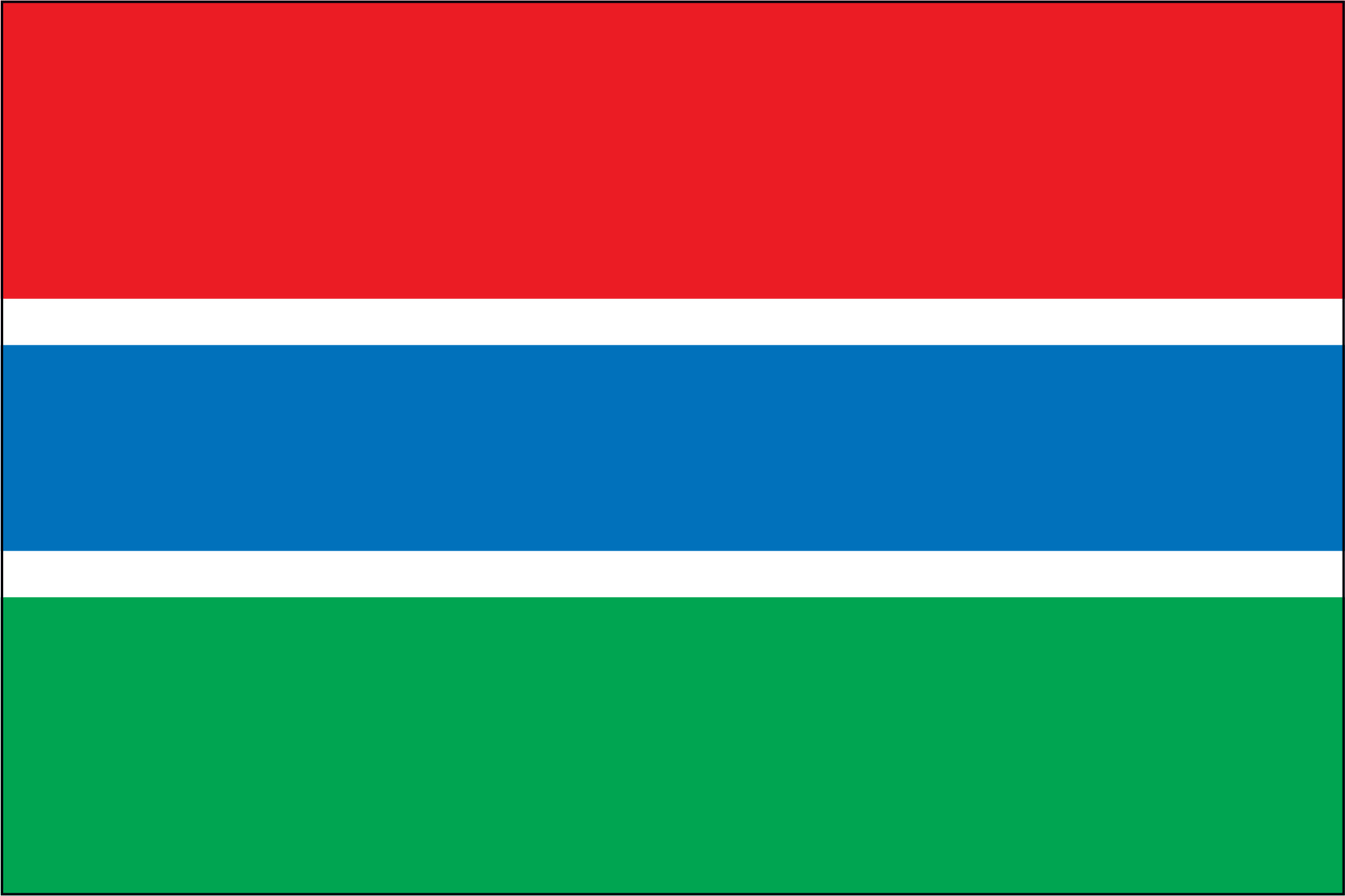 Gambia Miniature Flag 4