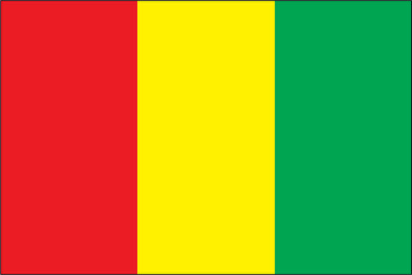 Guinea Miniature Flag 4" x 6"