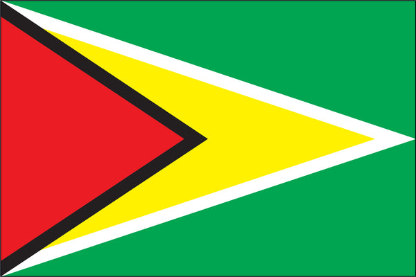 Guyana Miniature Flag 4" x 6"