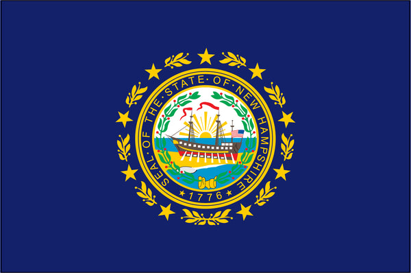 New Hampshire Miniature 4" x 6" Flag