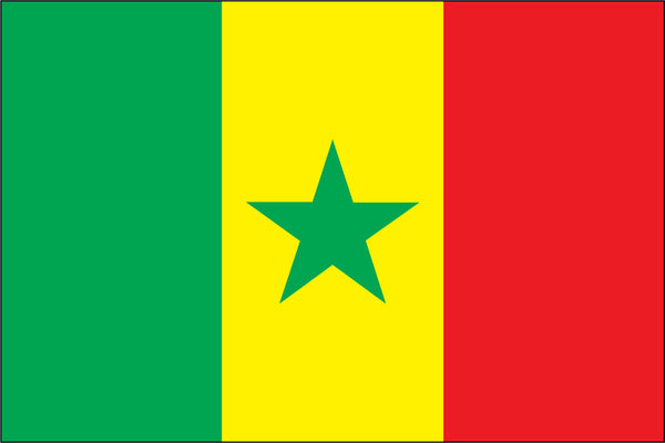Senegal Miniature Flag 4" x 6"