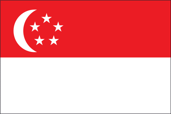 Singapore Miniature Flag 4" x 6"