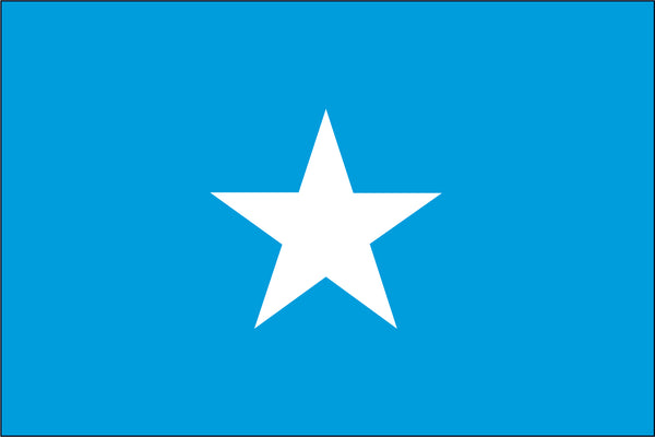 Somalia Miniature Flag 4" x 6"