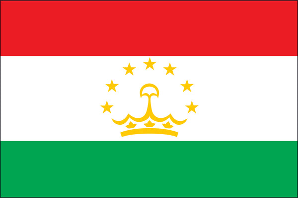 Tajikistan Miniature Flag 4" x 6"