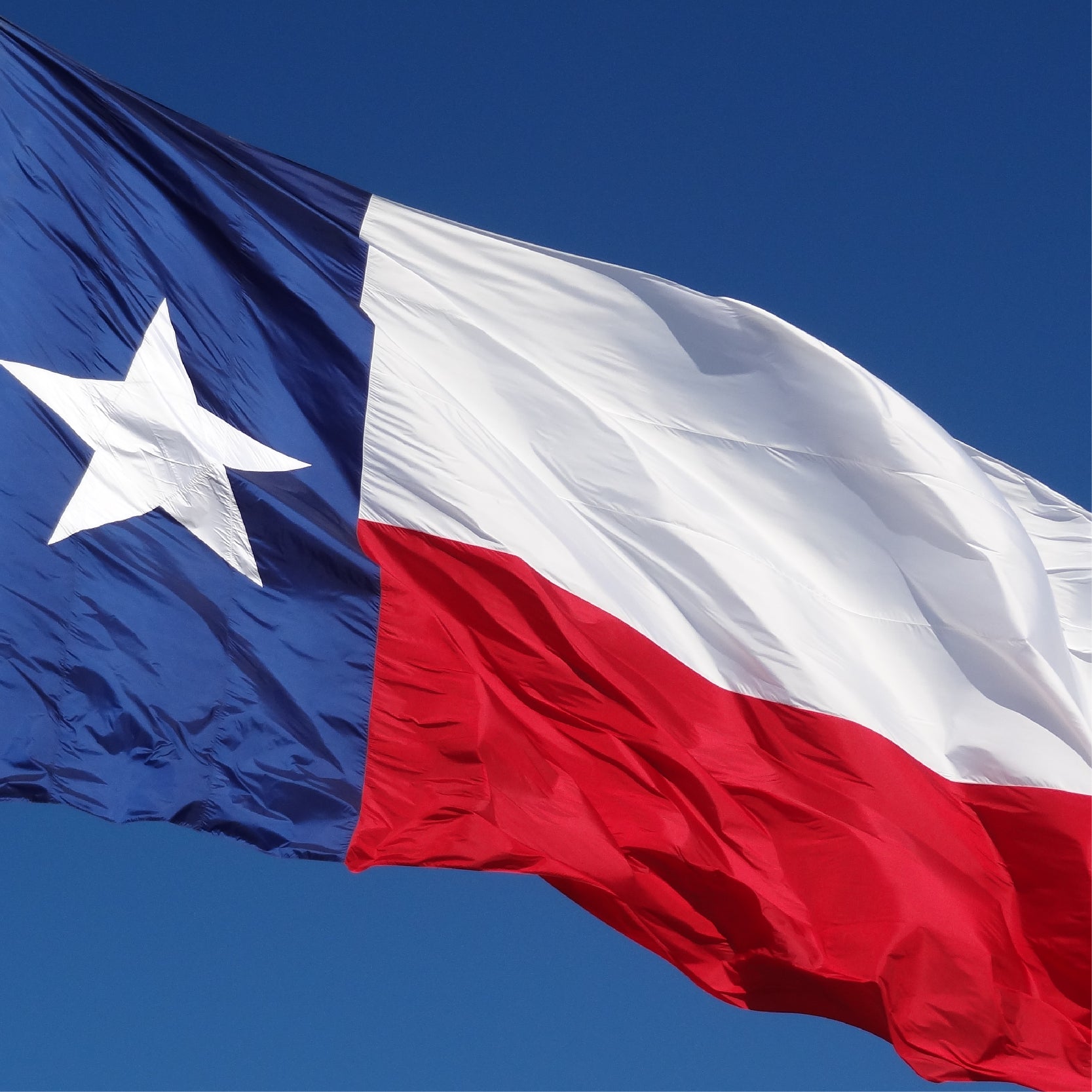 Texas Third Republic 3' x 5' Flag