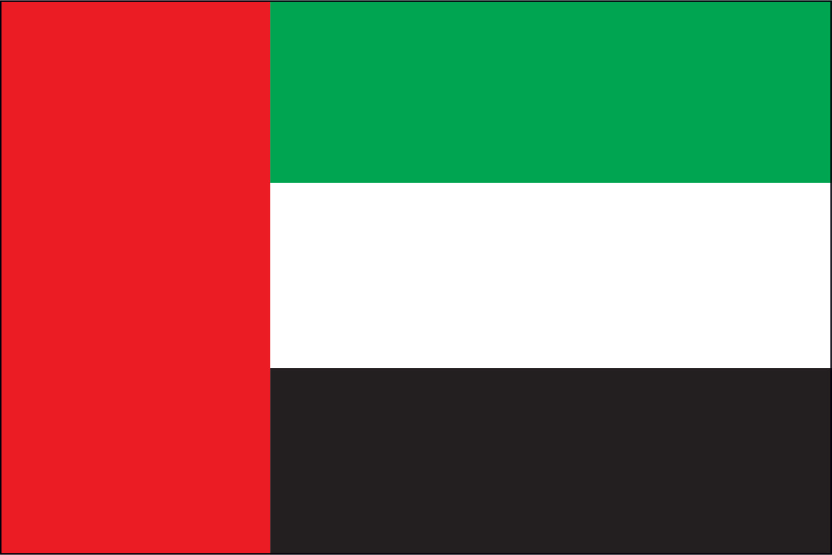 United Arab Emirates Miniature Flag 4