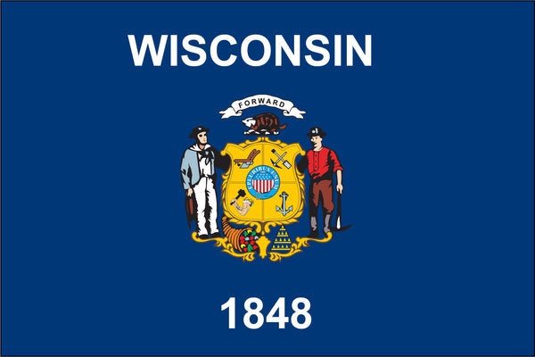 Wisconsin Miniature 4" x 6" Flag