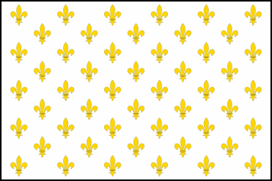 France over Texas - 1684 Fleur-de-Lis Flag